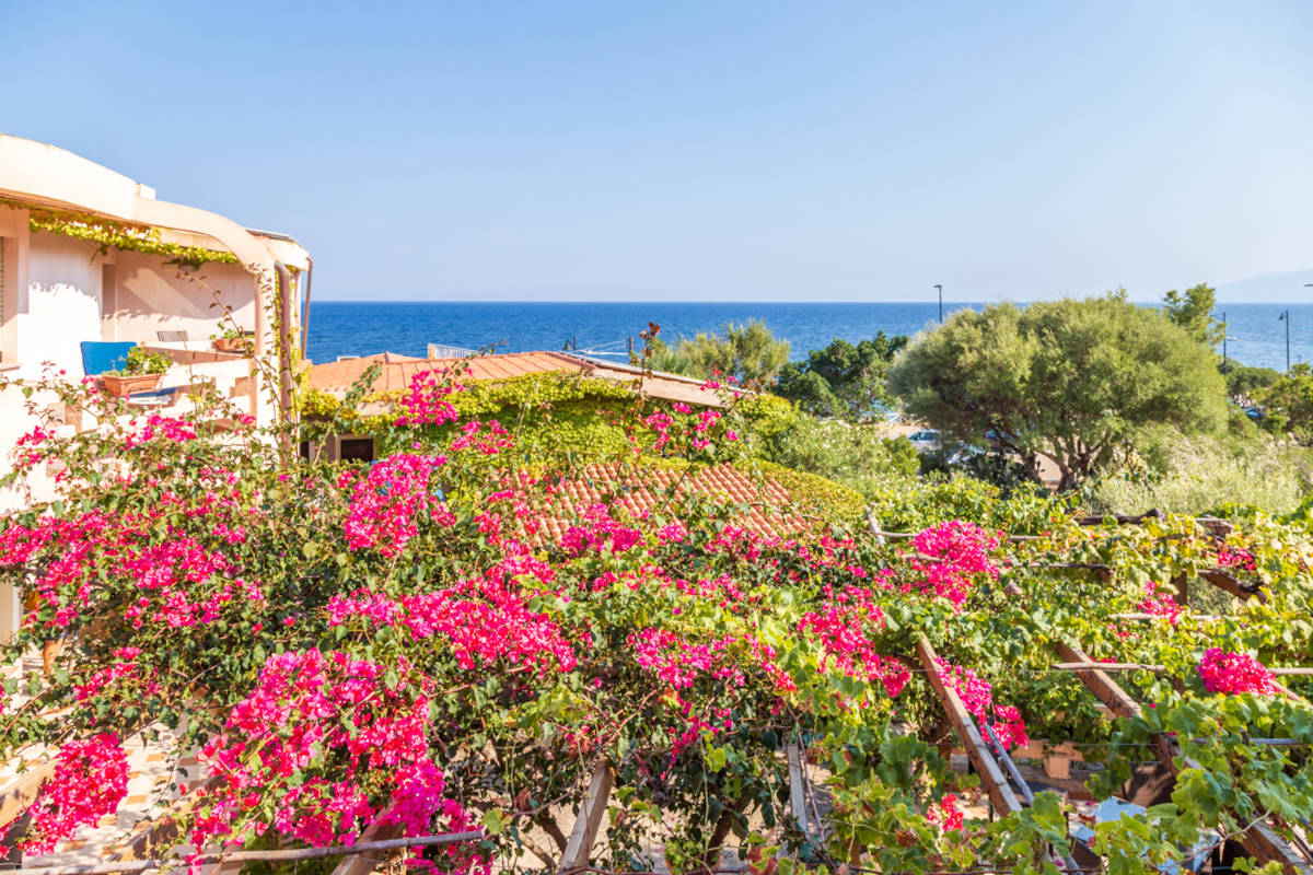 Hotel Costa Dorada